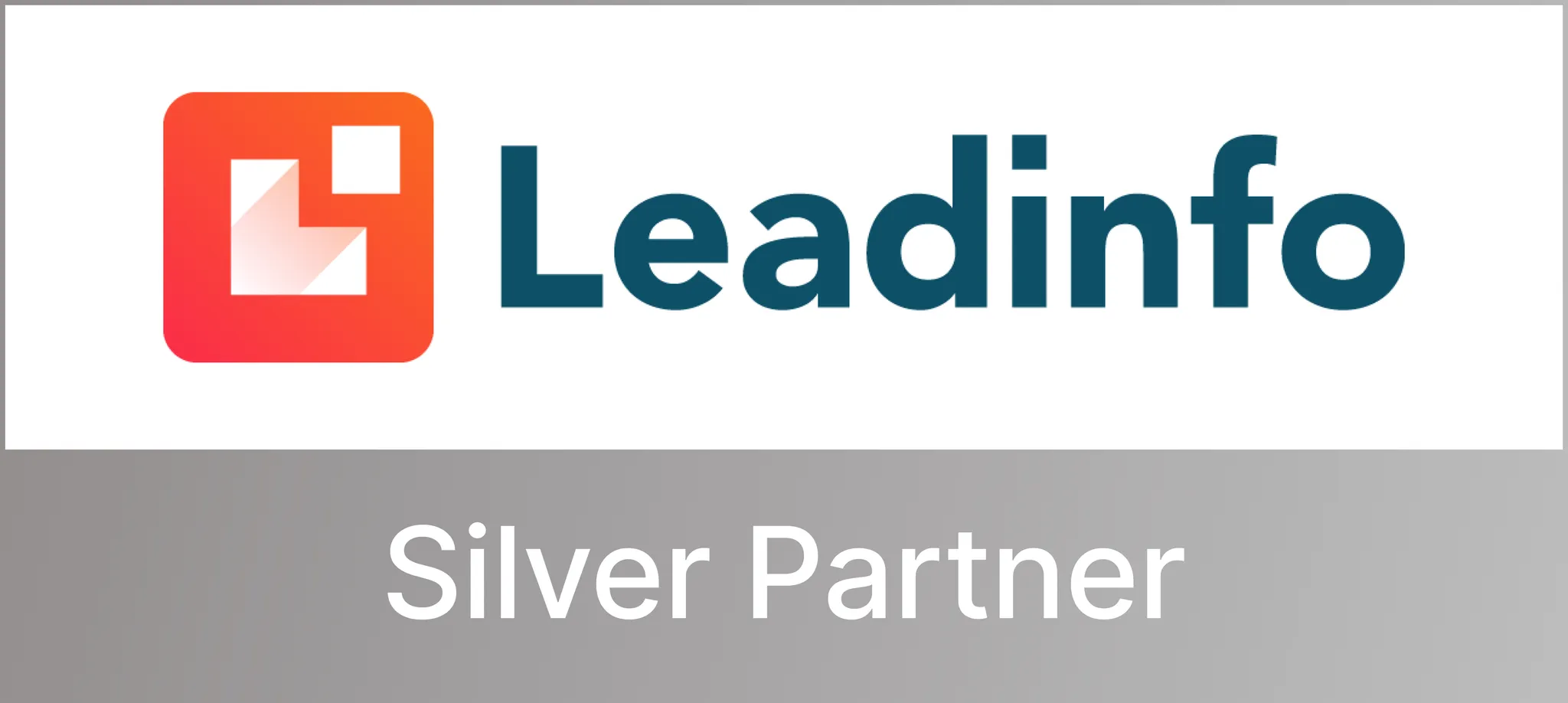 Leadinfo Silver Partner